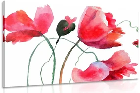 Tablou flori de mac inedite