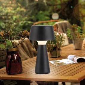 JUST LIGHT. 19260-18 - Lampă LED exterior dimabilă ABERA LED/3W/3,7V IP54