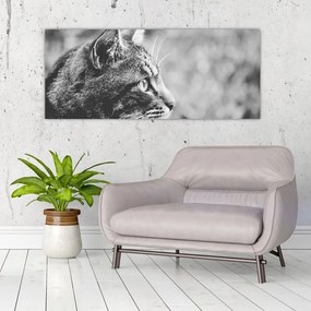 Tablou - Pisica (120x50 cm)