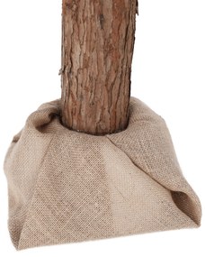 Brad de Crăciun, 180 cm, PNIK TIP 2