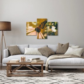 Tablou cu fluture pe floare (90x60 cm)
