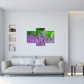 Tablou cu flori de luncă violete (90x60 cm)
