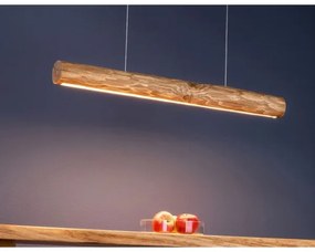 Lustră LED dimabilă pe cablu Spot-Light 69480104 LUCAS LED/25,5W/230V