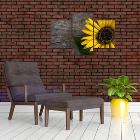 Tablou - Floare de floarea soarelui (90x60 cm)