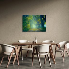 Tablou pe sticlă cu drum dea lungul cu copaci (70x50 cm)