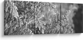 Tablou - Pădure de molid (cu ceas) (90x30 cm)
