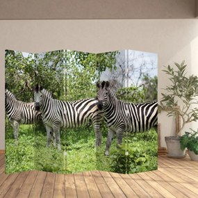 Paravan - Zebre (210x170 cm)