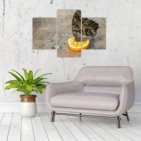 Tablou cu fluturi (90x60 cm)