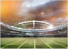 Tablou - Stadion (70x50 cm)