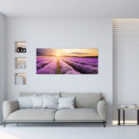 Tablou - Răsărit de soare în câmp de lavandă (120x50 cm)