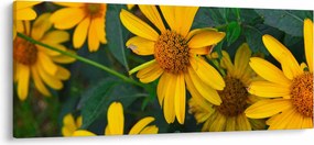 Tablou cu flori galbene (120x50 cm)