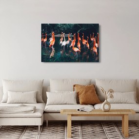 Tablou - turmă de flamingo (90x60 cm)