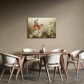 Tablou cu fluture (70x50 cm)