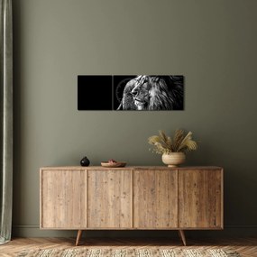 Tablou - Leu, alb și negru (cu ceas) (90x30 cm)