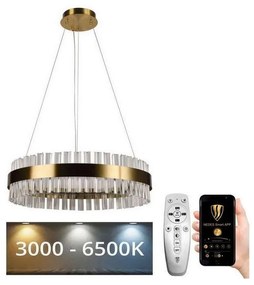 Lustră LED de cristal dimabilă pe cablu LED/40W/230V + telecomandă