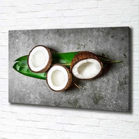 Imprimare tablou canvas Jumătăți de nucă de cocos