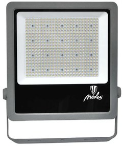 Proiector LED de exterior PROFI PLUS LED/300W/230V 5000K IP66