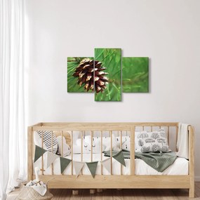 Tablou cu con (90x60 cm)