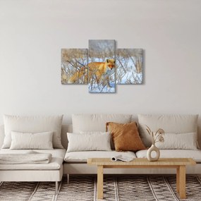 Tablou - Vulpe (90x60 cm)