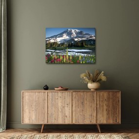 Tablou - Muntele Rainier (70x50 cm)
