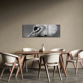 Tablou - Balerină, alb-negru (cu ceas) (90x30 cm)
