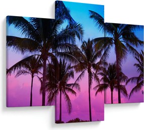 Tablou - Palmieri din Miami (90x60 cm)