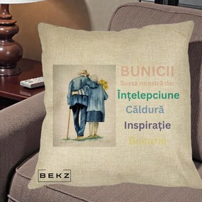 Cadou pentru Bunici - Perna Personalizata Bunicii Sursa Intelepciune Caldura Acuarela, 40x40 cm, Crem, Husa Detasabila, Perna Inclusa, BEKZ®
