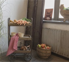 Jardinieră decorativă din lemn, în formă de găină, 35x18x40 cm, stil rustic