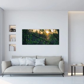 Tablou - Soarele strălucind printre crengile copacilor (120x50 cm)