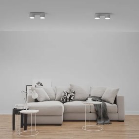 Plafonieră DIXIE 2xGX53/11W/230V albă