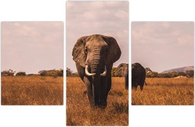 Tablou - Venirea elefantului (90x60 cm)