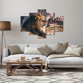Tablou cu leul dormind (150x105 cm)