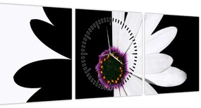 Tablou - Floare, alb- negru (cu ceas) (90x30 cm)