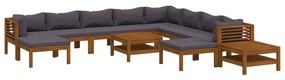 3086912 vidaXL Set mobilier grădină cu perne, 12 piese, lemn masiv de acacia