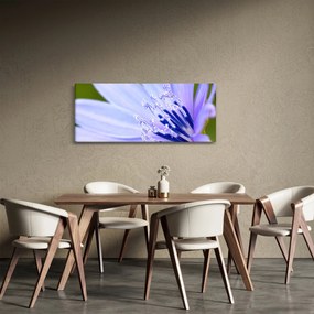 Tablou - Floare (120x50 cm)