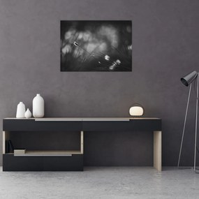 Tablou pe sticlă - Iarbă de pajiște (70x50 cm)