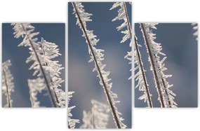 Tablou - Îngheț (90x60 cm)