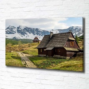 Tablou pe pânză Hale tatry