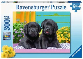 PUZZLE CATELUSI, 300 PIESE - RAVENSBURGER (RVSPC12950)