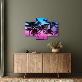 Tablou - Palmieri din Miami (90x60 cm)