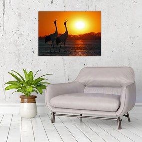 Tablou cu păsări în apus de soare (70x50 cm)