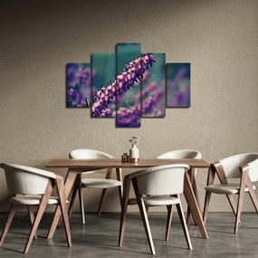 Tablou cu floare violetă (150x105 cm)