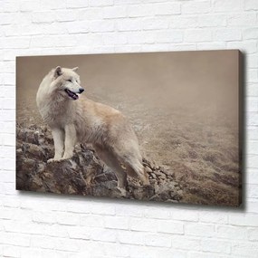 Tablou canvas Lup alb pe stâncă