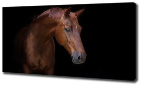 Print pe canvas Cal maro