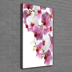Tablou canvas Orhidee