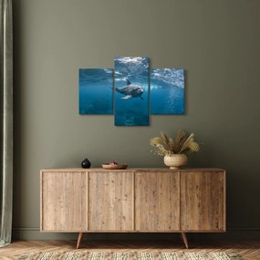 Tablou - Delfin sub apă (90x60 cm)