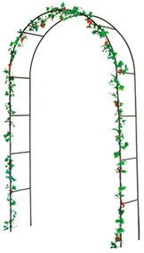 Arcadă pentru plante cățărătoare - Garden Pleasure