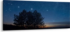 Tablou cu copaci noapte (120x50 cm)