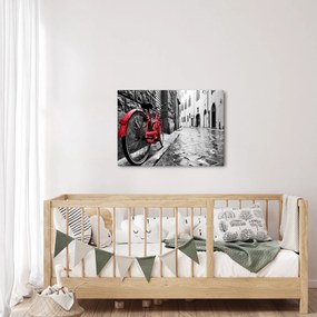 Tablou - Bicicleta roșie pe o stradă pavată (70x50 cm)