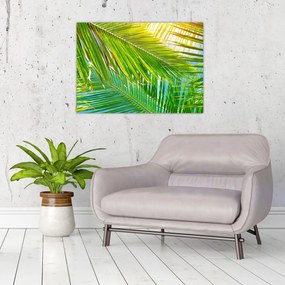 Tablou pe sticlă - Frunze de palmier (70x50 cm)